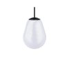 Klosz CAMELEON PEAR S 10331 Nowodvorski