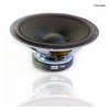 Głośnik GDN25/100/1 8ohm 25cm 100W Tonsil