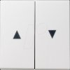 029403 Rocker Switch, 2-Way, Arrows, Pure White Glossy