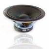 Głośnik GDN25/60 8ohm 25cm 60W Tonsil