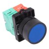 Techna PtecPNBlue Blue Flush Push Button Switch 10A 1NO-1NC