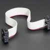 10-pin Socket/Socket IDC cable - 6