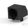 TE Connectivity 5555165-5 TE AMP Standard Modular Jacks, 1 szt.