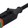 Connection cable, socket, 4 pole, straight to openend, 5m