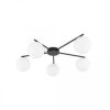 Lampa sufitowa pięcioramienna ELTON BLACK, szklane klosze, gwint G9 10262 TK Lighting