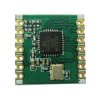 RF RFM65CW-433S2 RF RFM65CW-433S2