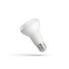 Żarówka E14 LED 4,8W 230V CW R-50 SP SPECTRUM, Biała Zimna