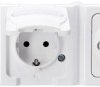 131302006 BLUE ELECTRIC outlet with hinged lid, 3-fold, Arctic white