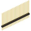 Pin header, 21 pole, pitch 2.54 mm, straight, black, 10046970