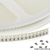 0603B273K250CT 27nF 50V X7R 10% SMD 0603 SMD-0603 WALSIN