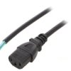 Kabel: 3X0,75Mm2, Iec C13 Żeński, 0,5M, 10A Lt-501 H05vv-F 0.75/3C Blk 0.5M End
