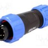 SP1310/P6