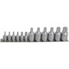 BlueSpot Tools 01551 TORX Socket Set of 12 1/4 & 3/8in Square Drive