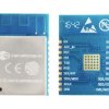 RF ESP-WROOM-S2 RF ESP-WROOM-S2