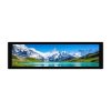 Dotykowy wyświetlacz DSI IPS 8,8″ 480x1920 - Waveshare 33641