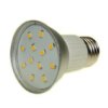 Żarówka Led Prin E27 12X2835 2W Dw