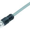 Sensor actuator cable, M12-cable plug, straight to open end, 3 pole, 2 m, PVC, gray, 4 A, 77 3529 0000 20703-0200