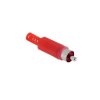 WTYK RCA / Chinch NA KABEL CZERWONY