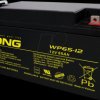 WP65-12-M AGM battery, 12 V, 65 Ah
