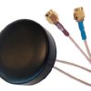 Wielokierunkowy Antena wielopasmowa ANT-GSMGPS-SMA Przewlekany/przykręcany, SMA Krążek, RF Solutions 2dBi 2G