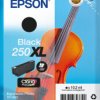 C13T16P14010 Ink, Epson, black, 250XL, original