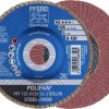 PFERD TOOLS 67649125 PFF 125 A 120 PSF STEELOX Tarcza lamelkowa Średnica 125 mm Średnica otworu 22.23 mm stal nierdzewna