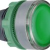 Pushbutton, for universal LED, illuminable, latching, waistband round, green, front ring gray, mounting Ø 22 mm, ZB5AH0383C0