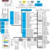 16/32 Bit RISC Flash MCU, Cortex R4F, USB | PGE | 144 | -40 to 105