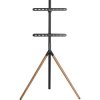 SpeaKa Professional SP-13476064 SP-TVS-800 TV base floor stand 45