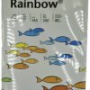 Rainbow 88042808 88042808 Uniwersalny papier do drukarek, papier do kopiowania DIN A3 80 g/m² 500 ark. szary