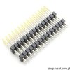 TW-15-06-L-D-315-090 Connect 2 x15 Pin R=2 mm THT SAMTEC