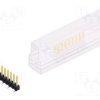 SL10SMD0629.SSM