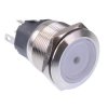 Blue LED Momentary 22mm Vandal Push Button Switch DPDT 12V