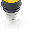 RAFI 1.30.070.021/1403 1.30.070.021/1403 Przycisk podświetlany (D x S x W) 24.95 x 24.95 x 26.35 mm 1 szt.