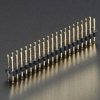 Male 40-pin GPIO Header