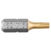 Końcówki wkrętakowe TX15 x 25 mm 2 szt. 57H972 TOPEX