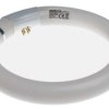 Świetlówka owadobójcza G10q 22 W 203 mm 210mm RS PRO