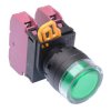 YW1L-MF2E02Q0G Green 22mm Momentary Shrouded Push Button Switch 2NC IP65 IDEC