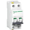 Wyłącznik nadprądowy IC60N 4A, 2P, char. D , A9F05204, Schneider
