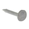 ForgeFix 500NLELH30GB Clout Nail Extra Lge Head Galvanised 30mm Bag Weight 500g