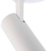 Lampa sufitowa LED Deko Light Lucea 348239 10 W 750 lm biały