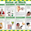 Plakat dot. bezpieczeństwa Instrukcja bezpieczeństwa — hałas w miejscu pracy, Laminat półsztywny, Angielski RS PRO