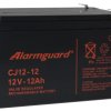 Akumulator 12Ah/12V CJ12-12 T2