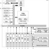 High performance single-core C66x fixed and floating-point DSP - 1GHz | CYP | 841 | 0 to 85