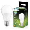 Żarówka LED E27 A65 15W = 125W 1952lm 6500K Zimna 260 LUMILED