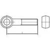 Śruba oczkowa TOOLCRAFT TO-9974580 M20 260 mm DIN 444 5 szt.