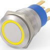Vandal-proof pushbutton, 2 pole, silver, illuminated  (yellow), 0.4 A/250 VAC, mounting Ø 19.2 mm, IP67, 5-2213767-0