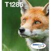 Epson C13T12854511 Epson Fox Multipack 4-colours T128 EasyMail