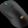640-21 Mouse, wireless, black, LED