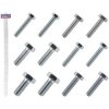 Sealey SCREWSET Clip Strip Deal - Set Screws